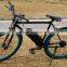 Fast 36V 350W Electric Bike Adult Electric Quad Bike