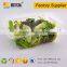 Rectangle Transparent take away plastic salad box with lid