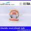 Dental Moderate Periodontal Disease Model Teaching Demonstration