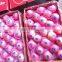 Red Color Fuji Apple Fresh Style Fruits Fresh Fuji Apple Fruit for Sale Fuji Apple Exporter in China