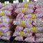 Normal White Fresh Garlic With Carton Mesh Bag