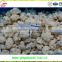 ISO 9001For export chinese high quality and compeitive price bulk IQF Frozen Cauliflower