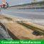 Strong structure Galvanized polytunnel greenhouse