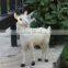 small size plush plastic goat toy