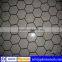 Wire netting,galvanized wire netting,pvc coated wire netting(ISO9001,CE,SGS)