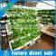 Commercial 10 Pipe vegetable low cost high output controller hydroponics greenhouse