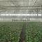 Agriculture battery sprayer pump