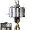 20t Capacity Wireless High Temperature Electronic Crane Scale