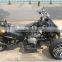 250cc Atv of Three Wheel (YH-01)