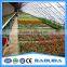 Galvanized Steel Structure Decorative Greenhouse