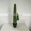 SJ3001009 High imitation cactus plant/indoor decoration cactus plant