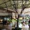 Q1101003 artificial dry tree without leaves white wedding table tree centerpieces