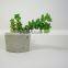 Home Decor Desktop Concrete Flower Pot & Planter
