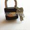 Steel Iron Padlock with Different Sizes