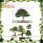 New products bonsai pine tree price artificial japanese artificial bonsai tree