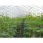 Single-Span Agricutural Greenhouse