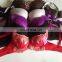 Nice Mixed Fashion Ladies Underwear Bras Lady Women Underwear Xxx Bra Picture For Indian sexy bra for Girls