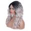 mink hair Lace Front Wig remy human hair wig lace