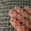 Galvanized Iron Square Wire Mesh High Tensile Strength And Toughness