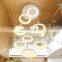 9 round Ceiling Chandelier Indoor Restaurant chandeliers Pendant Lamp