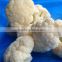 iqf white Chinese cauliflower