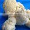 Frozen White Chinese Cauliflower in Bulk