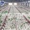 Qingdao Director Prefab Light Steel Structure Chicken Farm Poultry House