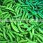 Sinocharm BRC Approved New Season Sweet IQF Frozen Sugar Snap Peas
