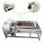 Full Automatic Sorting And Shaping Machine For Green/Black Tea Making In Stock