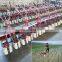 Factory Direct Sales price of wicker harvester