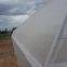 Factory Supply High Quality Cheap Price Transparent White Anti Insect Net for Greenhouse and Agriculture