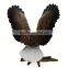 Bald eagles animal model Toy Figure Set