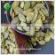 pistachio snow white pumpkin seeds kernels