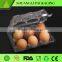 Wholesale transparent plastic egg tray