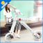 2016 light fashion low price pedal assisted electric scooter