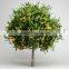 200cm Large Artificial Apple Tree,outdoor Plastic Fake Apple Tree