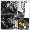 Small Delimanjoo Cake Making Machine