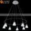 Modern LED Chips Lights Acrylic Pendant Chandelier Bottle Chandelier Lampardis OM88213-8W