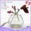 Deeshahot narrow neck cylindrical Aroma Diffuser glass Bottle