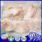 China Frozen Fish Tilapia Fillet Price