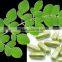 MORINGA CAPSULES MORINGA LEAF POWDER CAPSULES