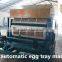 High capacity egg tray machine making machine