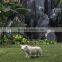white color small size guinea pepa pig