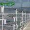 The latest product Bok Choy plant slot with agricultural