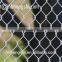 China Galvanized chain link fence,PVC Coated Chain Link mesh Fence