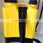 hand pesticide sprayer