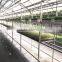 Neweek Combine Heating Tube Hydroponic Wheat Corn Alfalfa Sprouting Machine