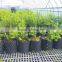 plastic root control container/pot for garden tools