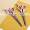 AOY18 Plastic handle hair scissors , easy carry safty hair cutting scissors with tooth