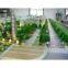 South China Normal University High School architectural scale model